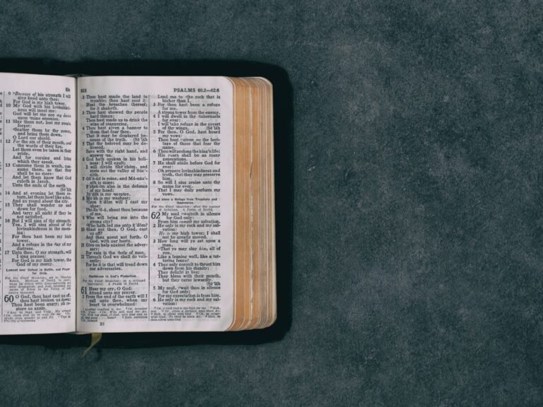 4 Differences Between the King James Version and the Catholic Bible